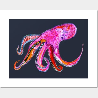 Pink Octopus Posters and Art